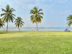 Pasir Ris Beach Park (D18), Terrace #427841941